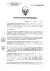 Vista preliminar de documento RD 010-2018-SA-DG-INR