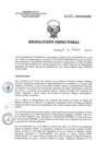 Vista preliminar de documento RD 002-2018-SA-DG-INR