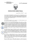 Vista preliminar de documento RD 005-2018-SA-DG-INR