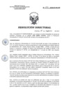 Vista preliminar de documento RD 023-2018-SA-DG-INR