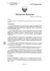 Vista preliminar de documento RD 036-2018-SA-DG-INR