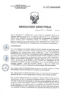 Vista preliminar de documento RD 029-2018-SA-DG-INR