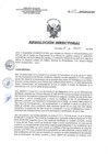 Vista preliminar de documento RD 041-2018-SA-DG-INR