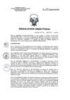 Vista preliminar de documento RD 026-2018-SA-DG-INR