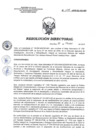 Vista preliminar de documento RD 043-2018-SA-DG-INR