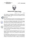 Vista preliminar de documento RD 048-2018-SA-DG-INR