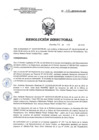 Vista preliminar de documento RD 051-2018-SA-DG-INR
