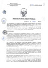 Vista preliminar de documento RD 068-2018-SA-DG-INR