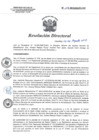Vista preliminar de documento RD 114-2018-SA-DG-INR