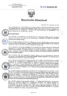 Vista preliminar de documento RD 115-2018-SA-DG-INR
