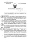 Vista preliminar de documento RD 119-2018-SA-DG-INR