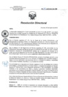 Vista preliminar de documento RD 110-2018-SA-DG-INR