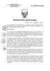 Vista preliminar de documento RD 127-2018-SA-DG-INR