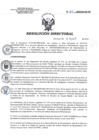 Vista preliminar de documento RD 132-2018-SA-DG-INR