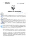 Vista preliminar de documento RD 133-2018-SA-DG-INR