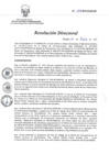 Vista preliminar de documento RD 109-2018-SA-DG-INR