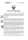 Vista preliminar de documento RD 142-2018-SA-DG-INR