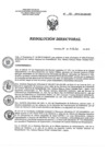 Vista preliminar de documento RD 181-2018-SA-DG-INR