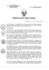 Vista preliminar de documento RD 175-2018-SA-DG-INR