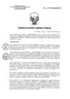 Vista preliminar de documento RD 186-2018-SA-DG-INR