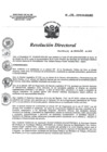 Vista preliminar de documento RD 188-2018-SA-DG-INR