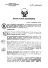 Vista preliminar de documento RD 190-2018-SA-DG-INR