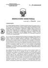 Vista preliminar de documento RD 196-2018-SA-DG-INR