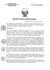 Vista preliminar de documento RD 199-2018-SA-DG-INR