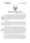 Vista preliminar de documento RD 202-2018-SA-DG-INR