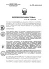 Vista preliminar de documento RD 197-2018-SA-DG-INR