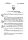 Vista preliminar de documento RD 204-2018-SA-DG-INR