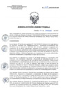 Vista preliminar de documento RD 207-2018-SA-DG-INR