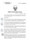 Vista preliminar de documento RD 210-2018-SA-DG-INR