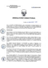 Vista preliminar de documento RD 205-2018-SA-DG-INR