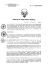 Vista preliminar de documento RD 191-2018-SA-DG-INR