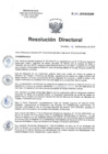 Vista preliminar de documento RD 211-2018-SA-DG-INR