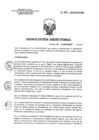 Vista preliminar de documento RD 215-2018-SA-DG-INR