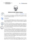 Vista preliminar de documento RD 208-2018-SA-DG-INR