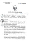 Vista preliminar de documento RD 213-2018-SA-DG-INR