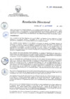 Vista preliminar de documento RD 218-2018-SA-DG-INR