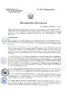 Vista preliminar de documento RD 220-2018-SA-DG-INR