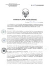 Vista preliminar de documento RD 217-2018-SA-DG-INR