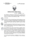 Vista preliminar de documento RD 221-2018-SA-DG-INR