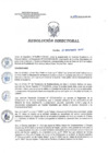 Vista preliminar de documento RD 224-2018-SA-DG-INR