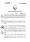 Vista preliminar de documento RD 227-2018-SA-DG-INR