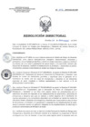 Vista preliminar de documento RD 222-2018-SA-DG-INR