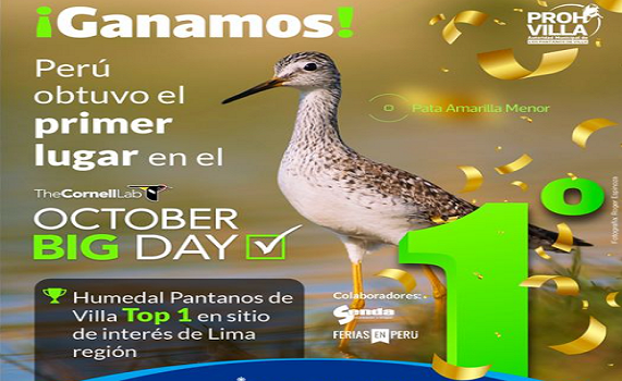 Perú se consagra históricamente como ganador mundial del October Big Day 2023