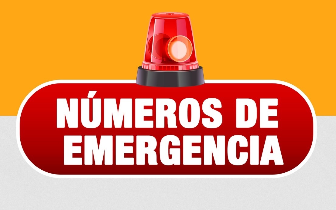 🚨Recuerda los siguientes Números de Emergencia🚨
🚨Central de Serenazgo:
👉953 775 045
👉940 694 477
🚨Central de la PNP
👉942 620 214
🚨Central del Centro de Salud
👉01 284 1011
#EnGestionChavelonEsLaSolucion