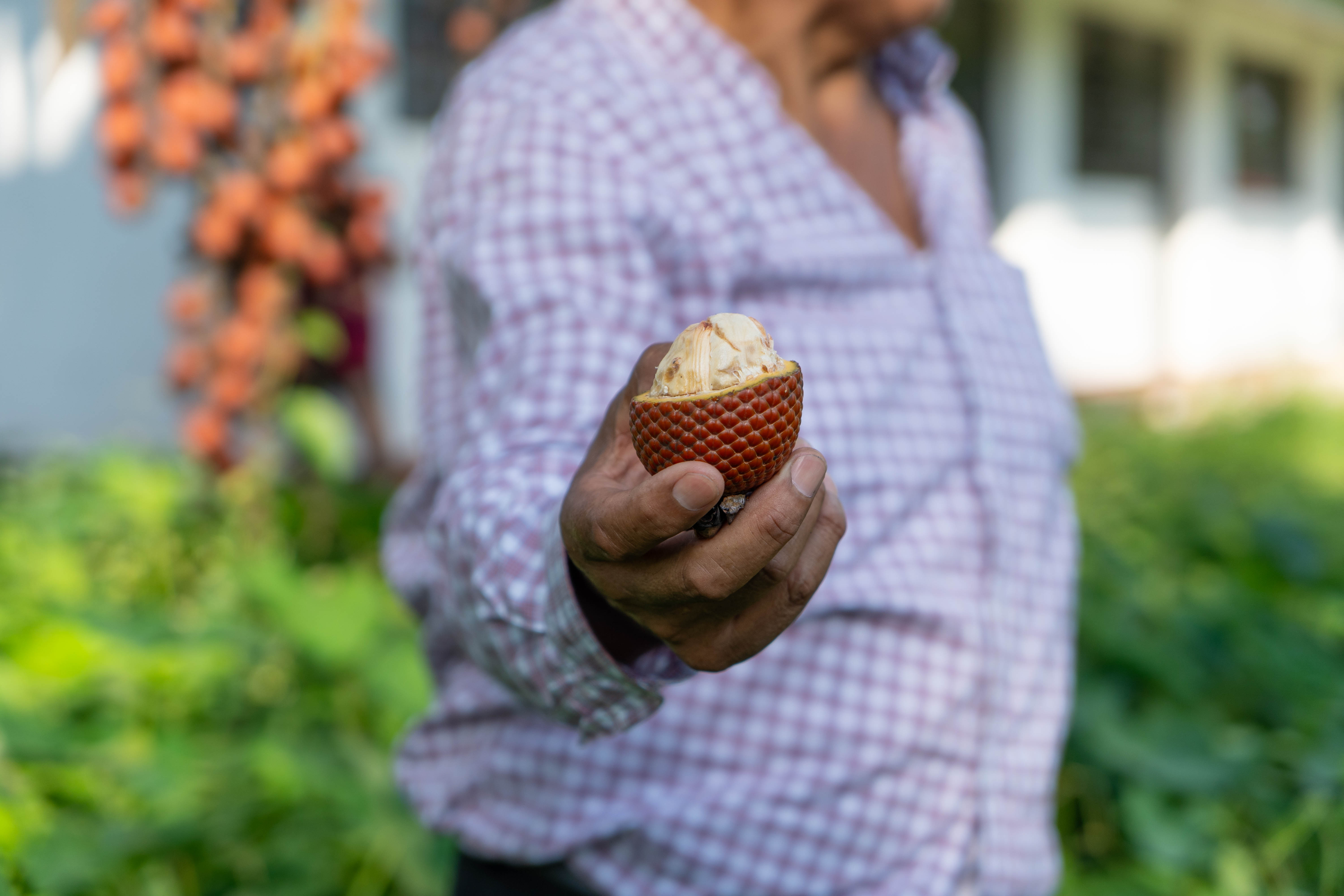 Pasantía productores cacao