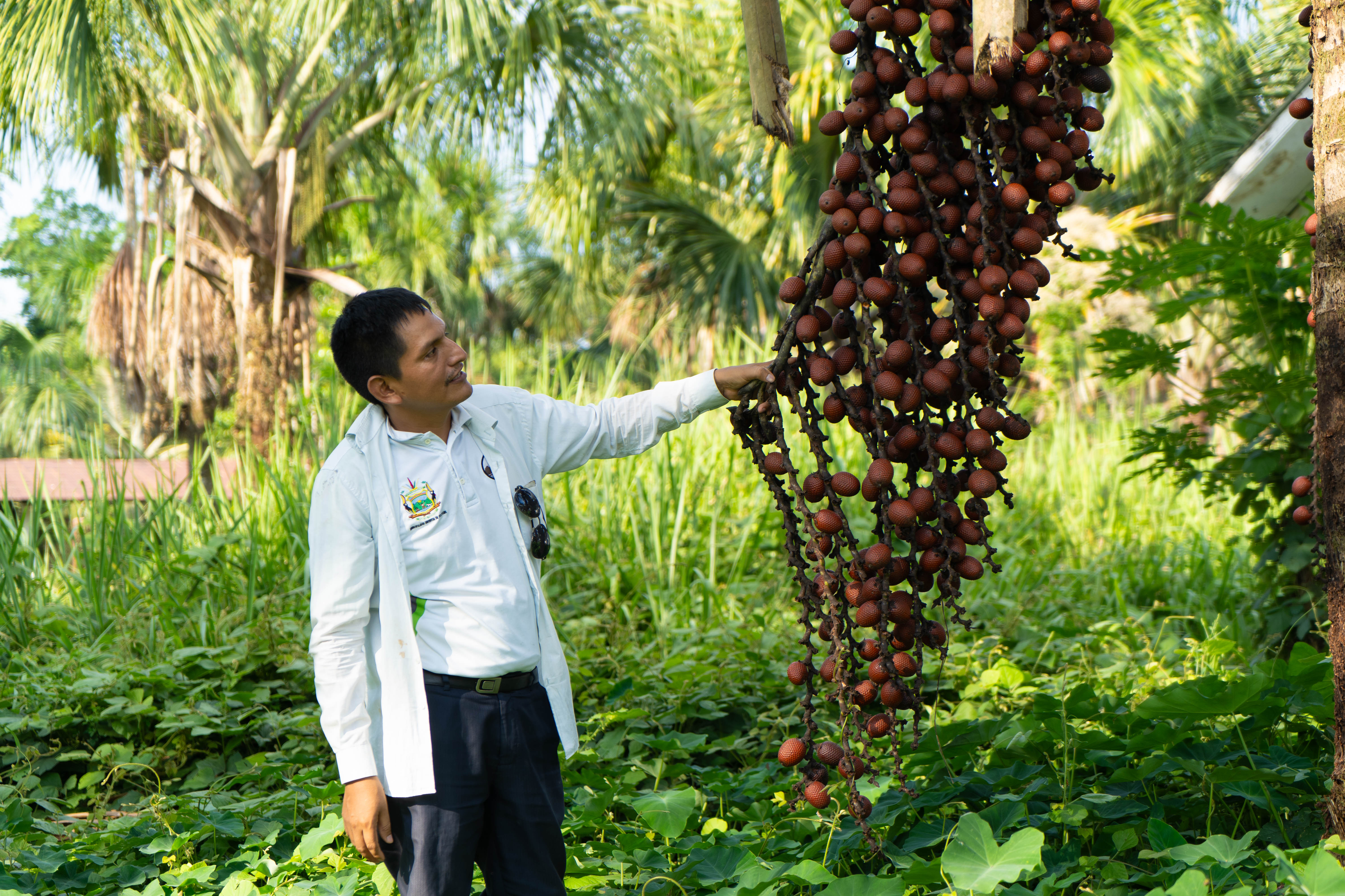 Pasantía productores cacao